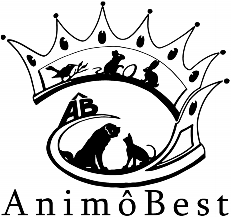 AnimoBest